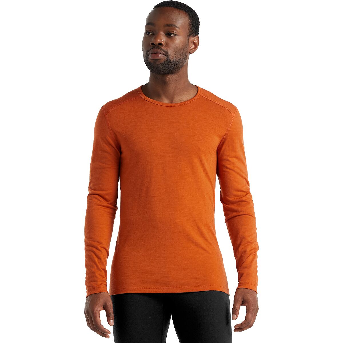 Image of Icebreaker 200 Oasis LS Crew Top - Men's Spice, M