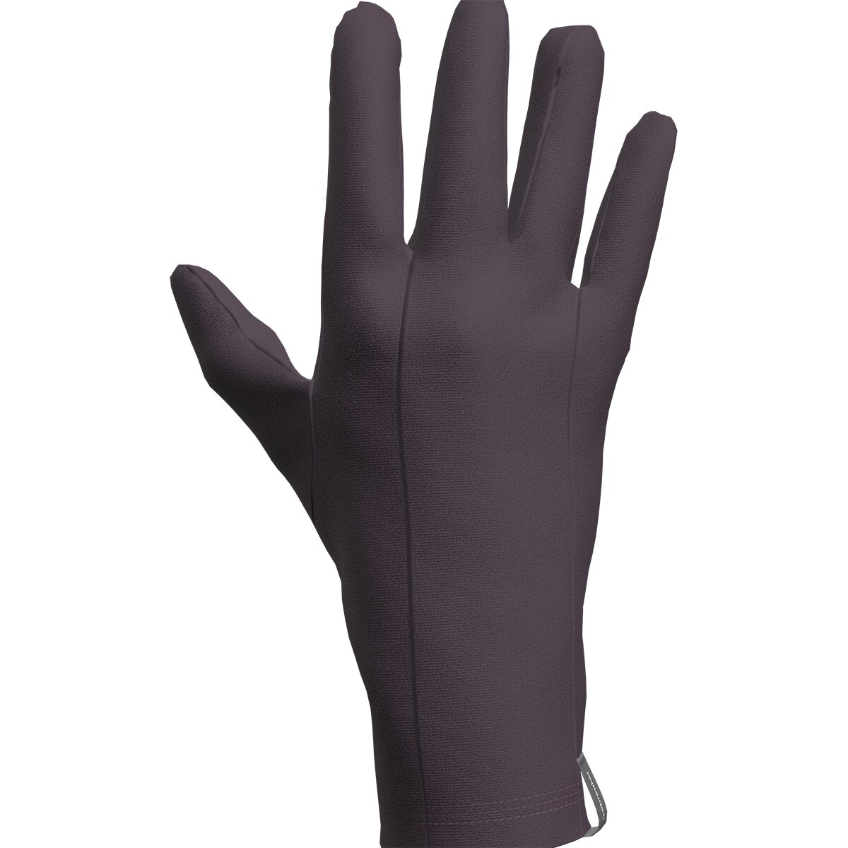 Image of Icebreaker Oasis 200 Glove Liner Grey Plum, XS