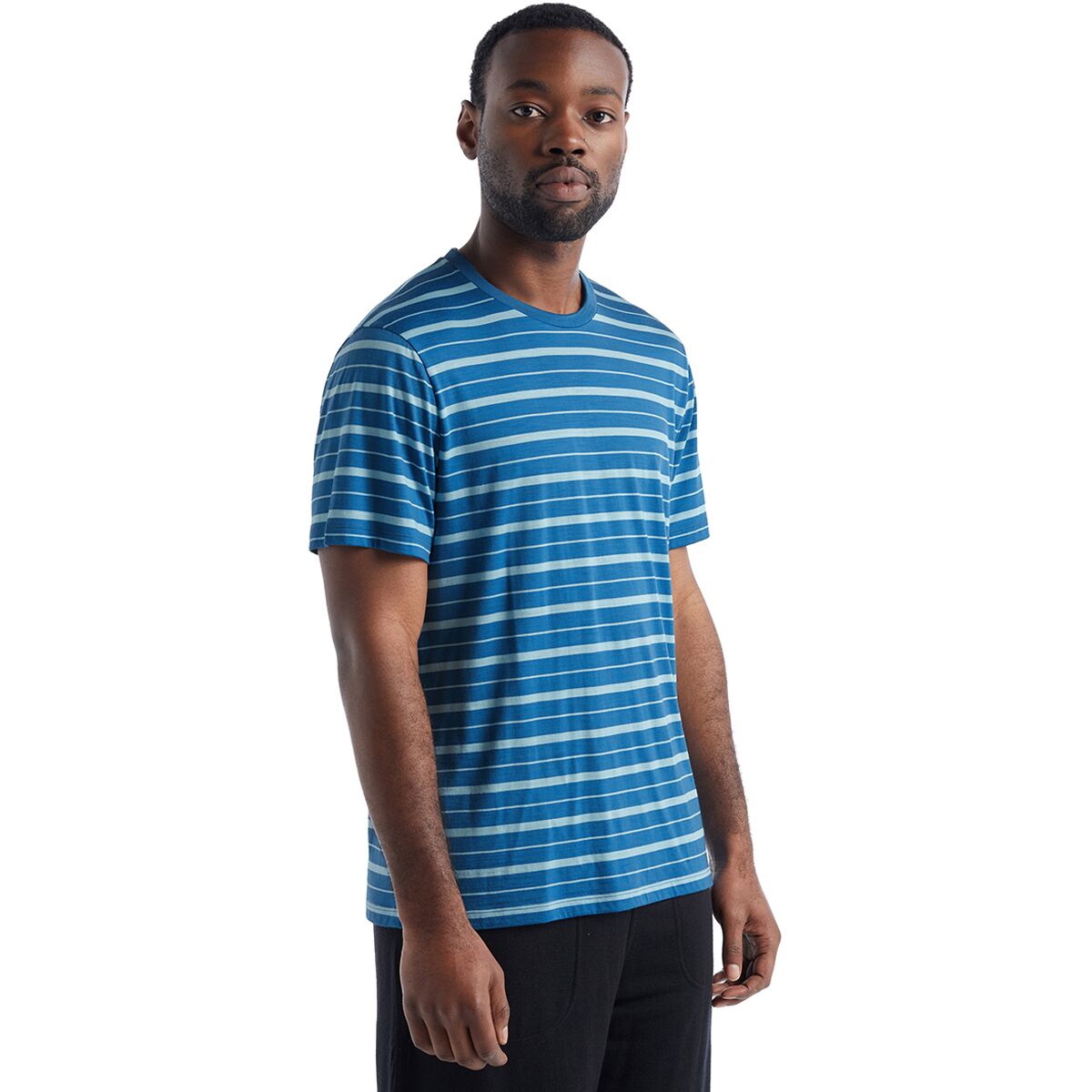 Icebreaker Wave Stripe Short-Sleeve T-Shirt - Men's product image