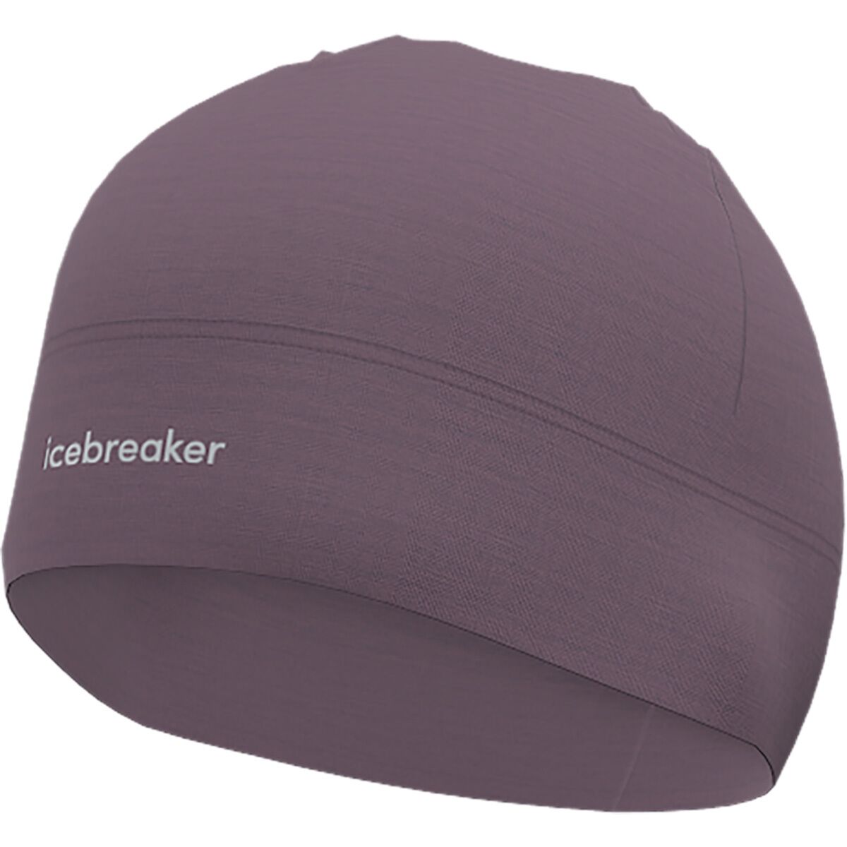 Image of Icebreaker Merino 200 Oasis Beanie Grey Plum, One Size
