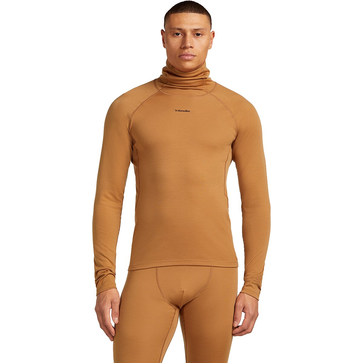 Image of Icebreaker 300 MerinoFine Polar Long-Sleeve Roll Neck Top - Men's Trail, S
