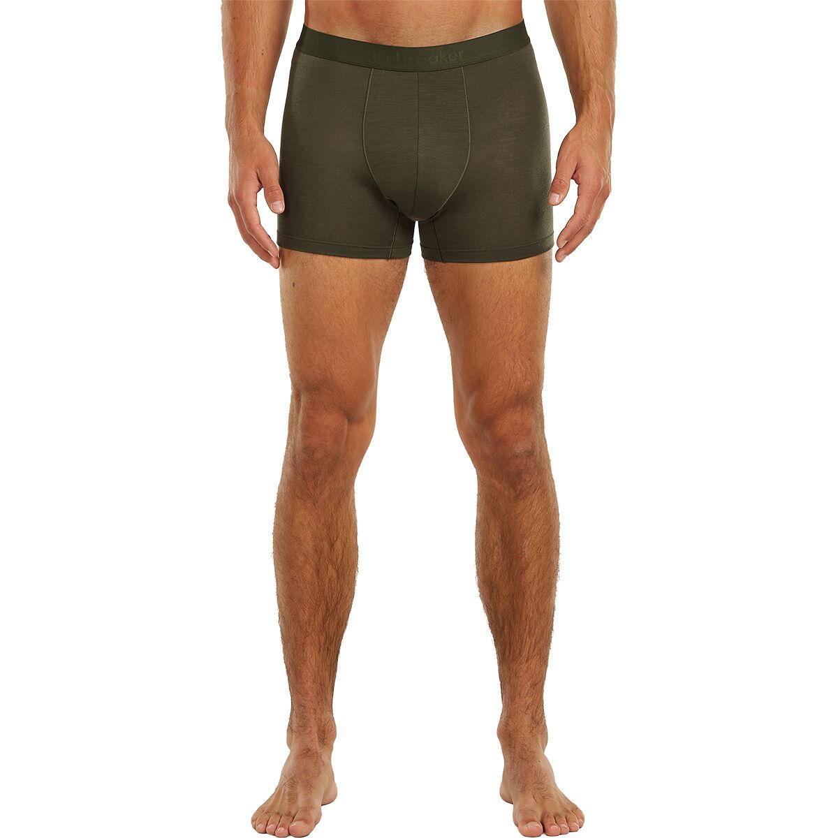 Image of Icebreaker Merino 125 Cool-Lite Anatomica Boxer - Men's Dark Loden, M