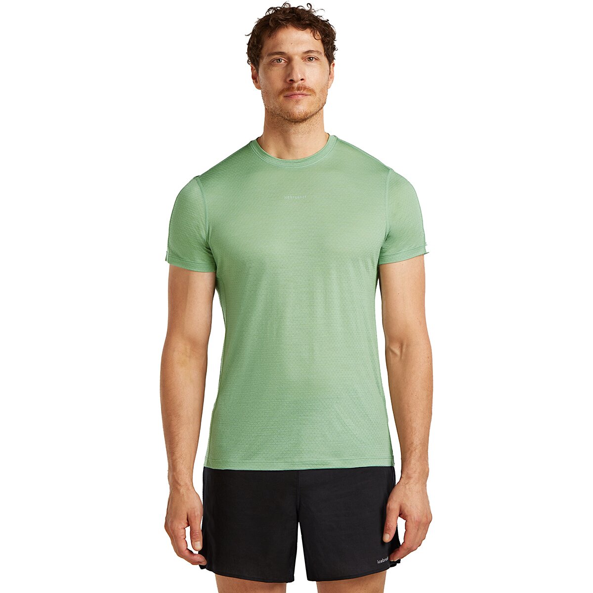 Image of Icebreaker Merino 125 Cool-Lite Speed T-Shirt - Men's Seaglass, M