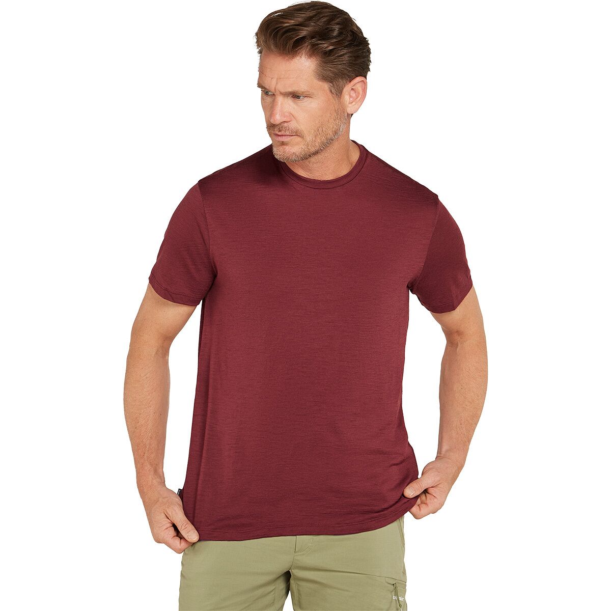 Image of Icebreaker Merino 150 Tech Lite T-Shirt - Men's Port, M