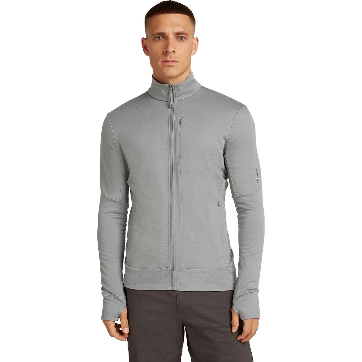 Image of Icebreaker Merino 260 Quantum Long-Sleeve Zip Top - Men's Alloy, L