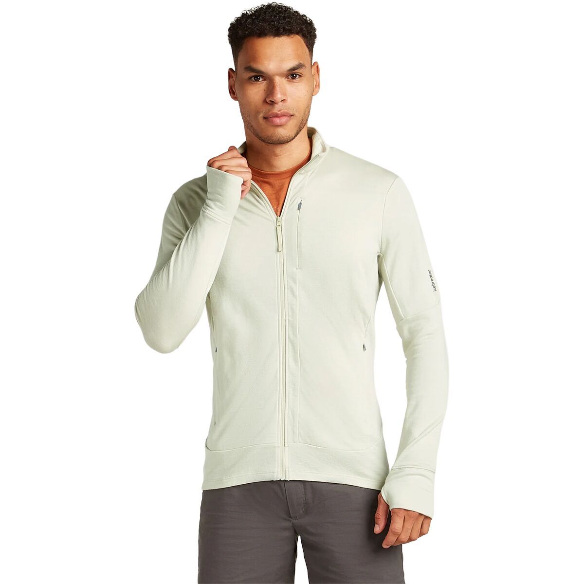 Image of Icebreaker Merino 260 Quantum Long-Sleeve Zip Top - Men's Ashen, XXL