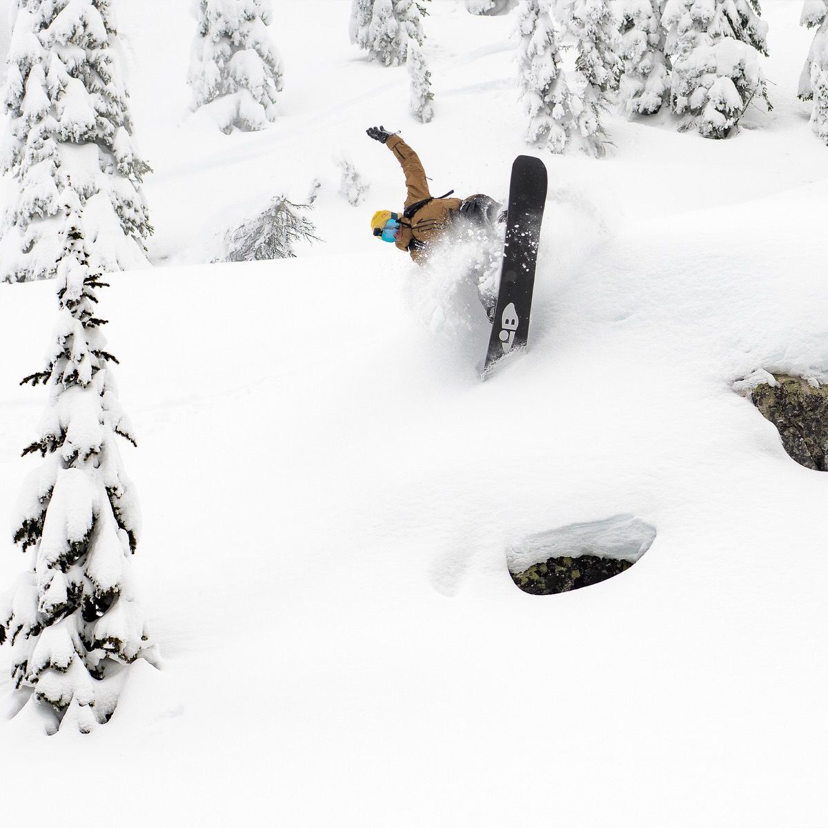 Lib Technologies Golden Orca Snowboard - 2026 - Snowboard