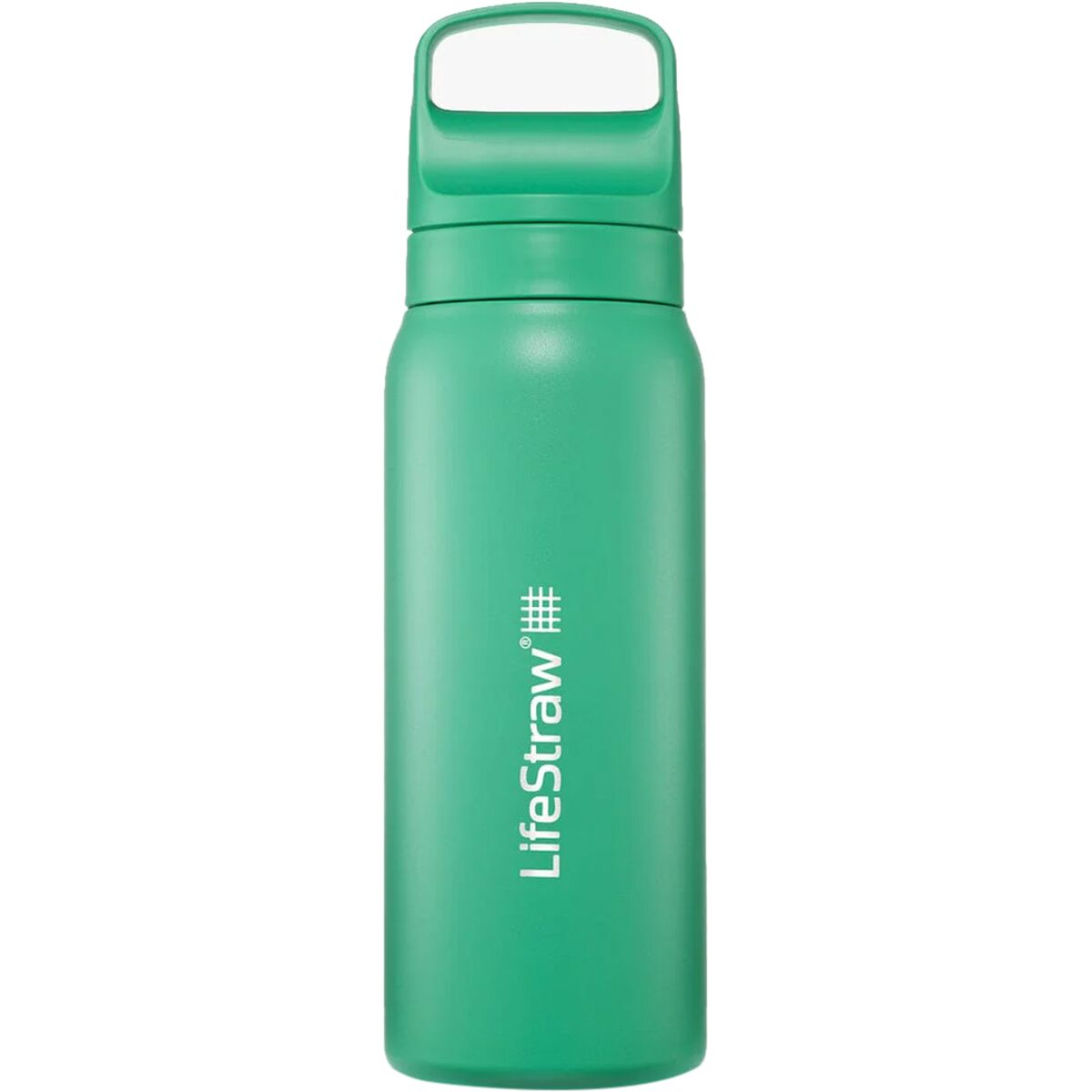 Image of LifeStraw Go Series Stainless Steel Filter Bottle - 24oz Cactus Green, One Size