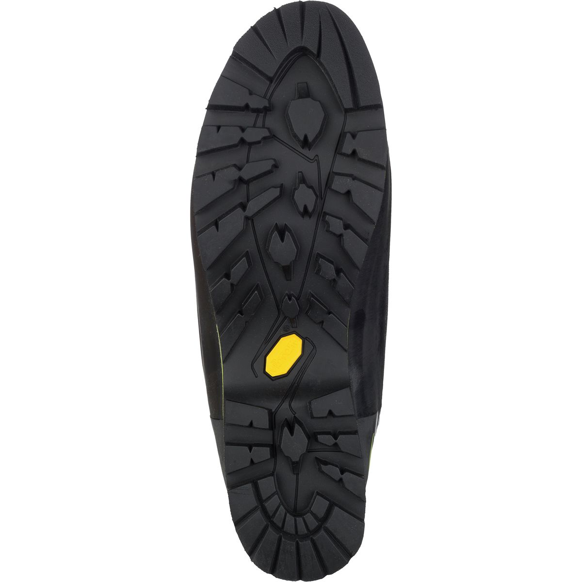 Lowa Expedition 6000 EVO RD Boot Footwear