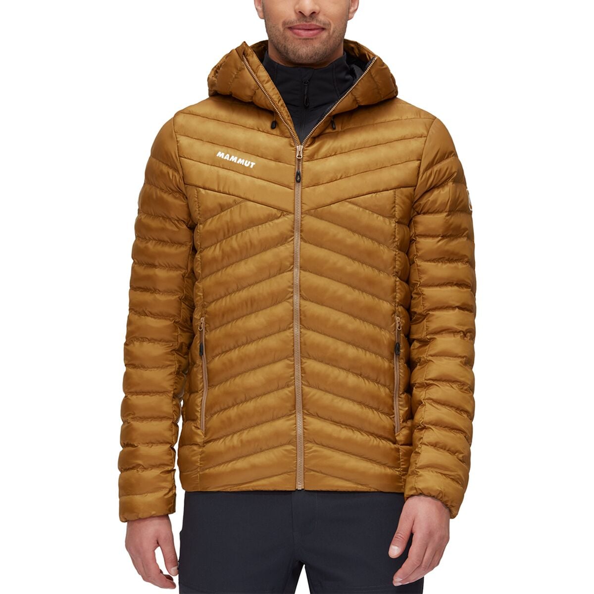 Albula IN Hooded Jacket - Men