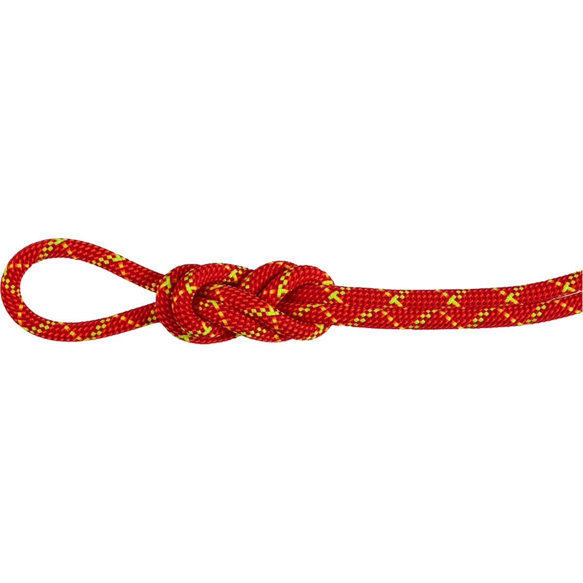Image of Mammut 8.0 Alpine Core Protect Dry Rope Fire/Halo, 30m