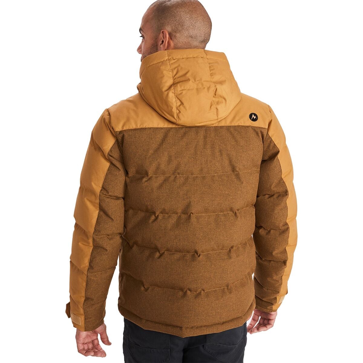 marmot fordham review