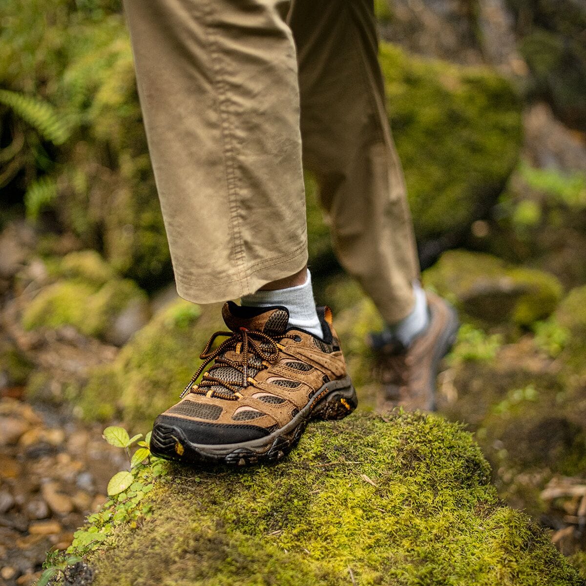 Merrell Moab 3 GTX Hiking Shoe - Men's - Footwear