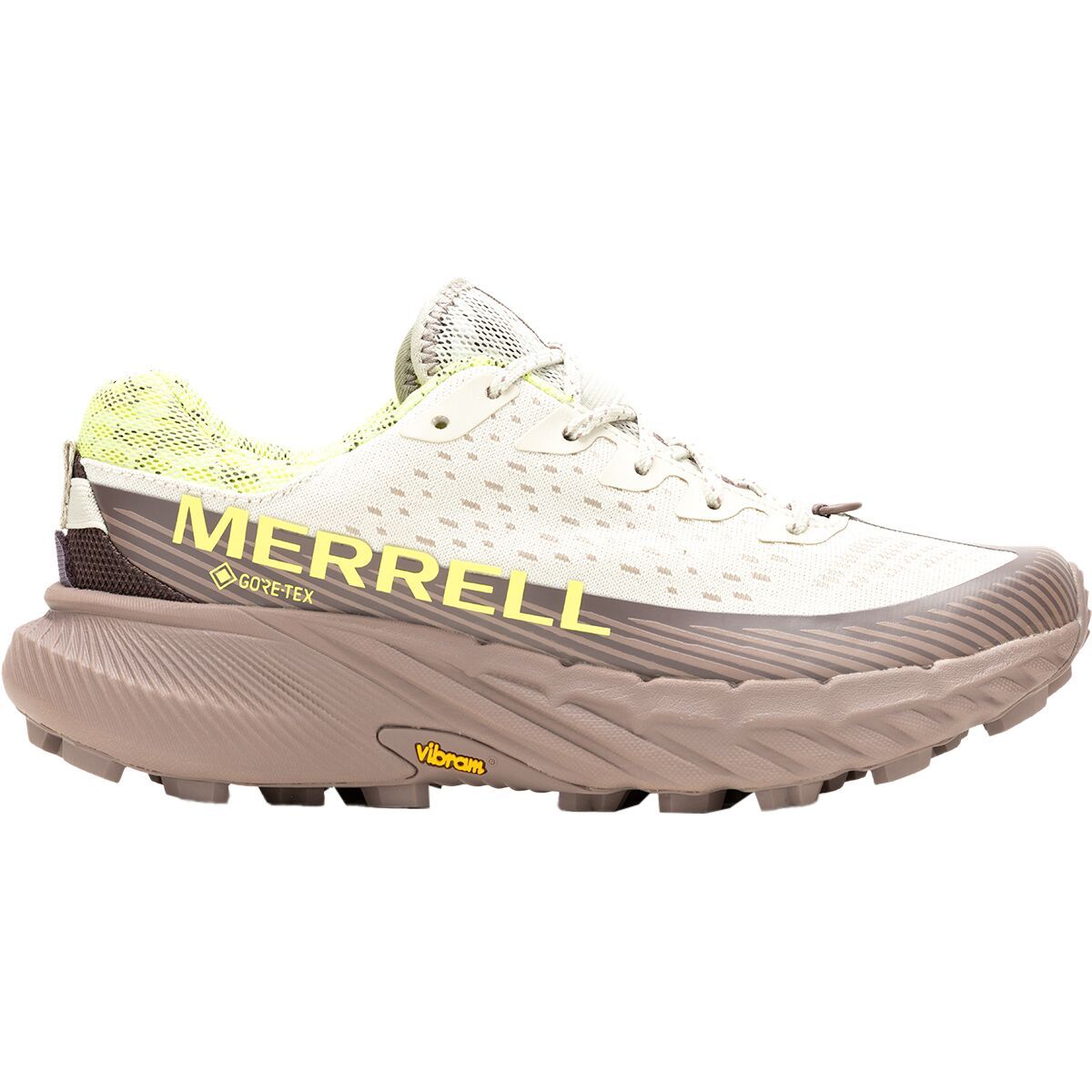 Merrell Agility Peak 5 GTX Shoe - Women's Silver, 9.5