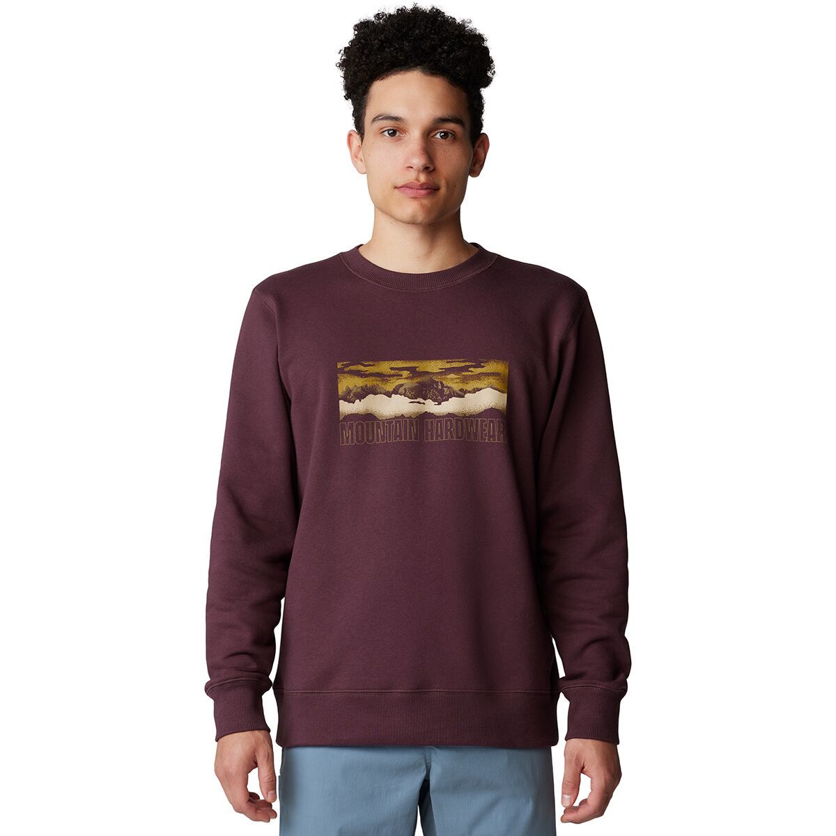 Image of Mountain Hardwear Mt. Whitney Crew Sweatshirt - Men's Blackberry, S