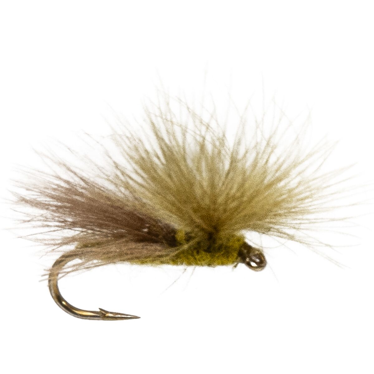 Montana Fly Company Montana Fly Company CDC Caddis - 12 Pack Olive, 14