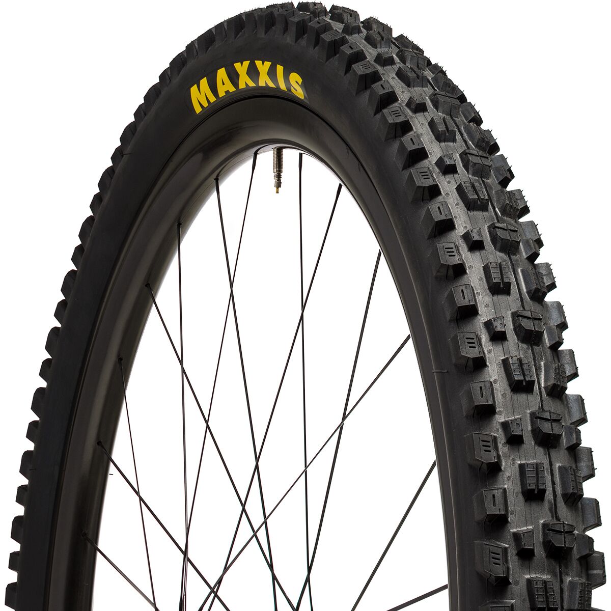 Image of Maxxis Assegai Wide Trail Dual Compound/EXO/TR 29in Tire Dual Compound/EXO/TR, 29x2.6