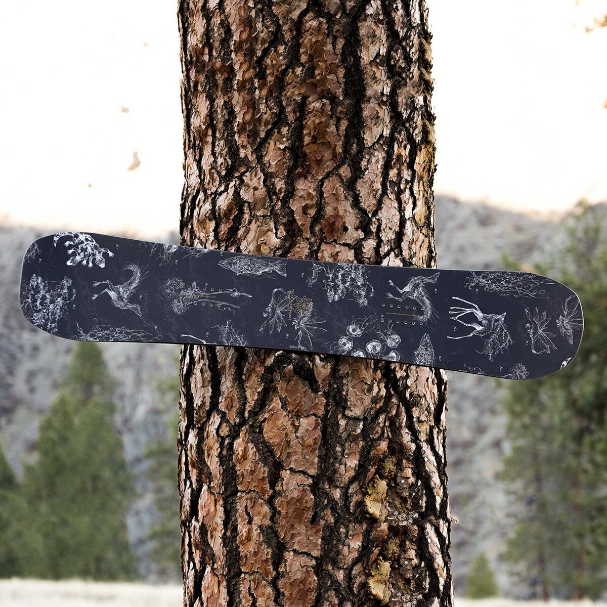 Niche Nightshade Snowboard - 2023 - Women