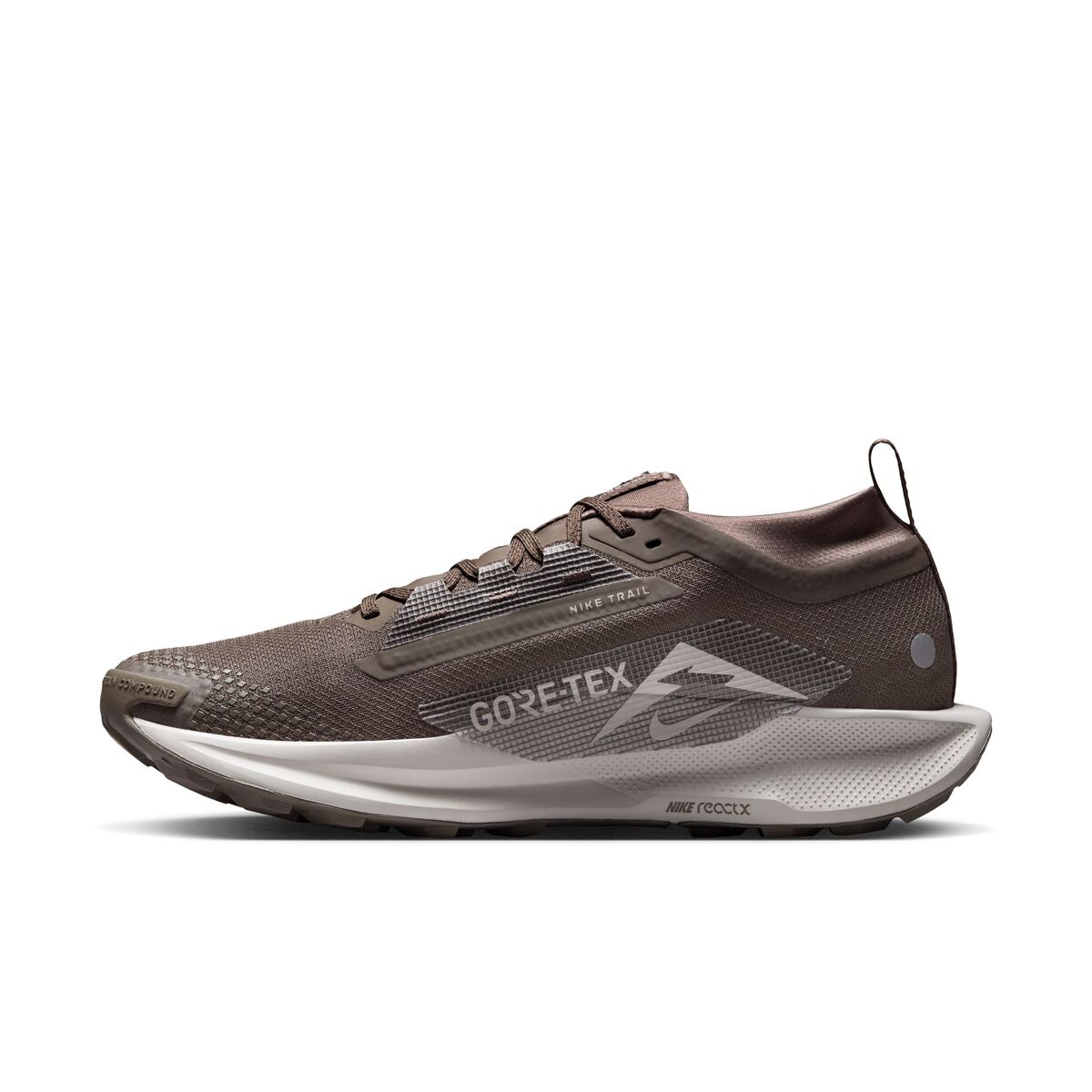 Nike Pegasus Trail 5 GORE-TEX Running Shoe - Men's - Footwear