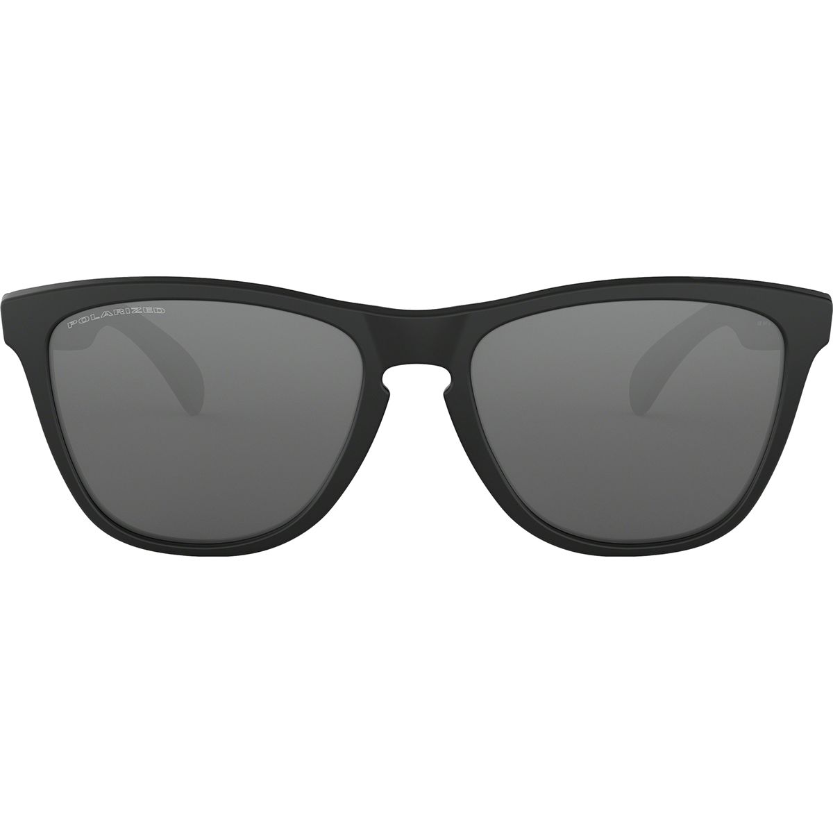 Oakley Frogskins Polarized Sunglasses - Men's - Accessories