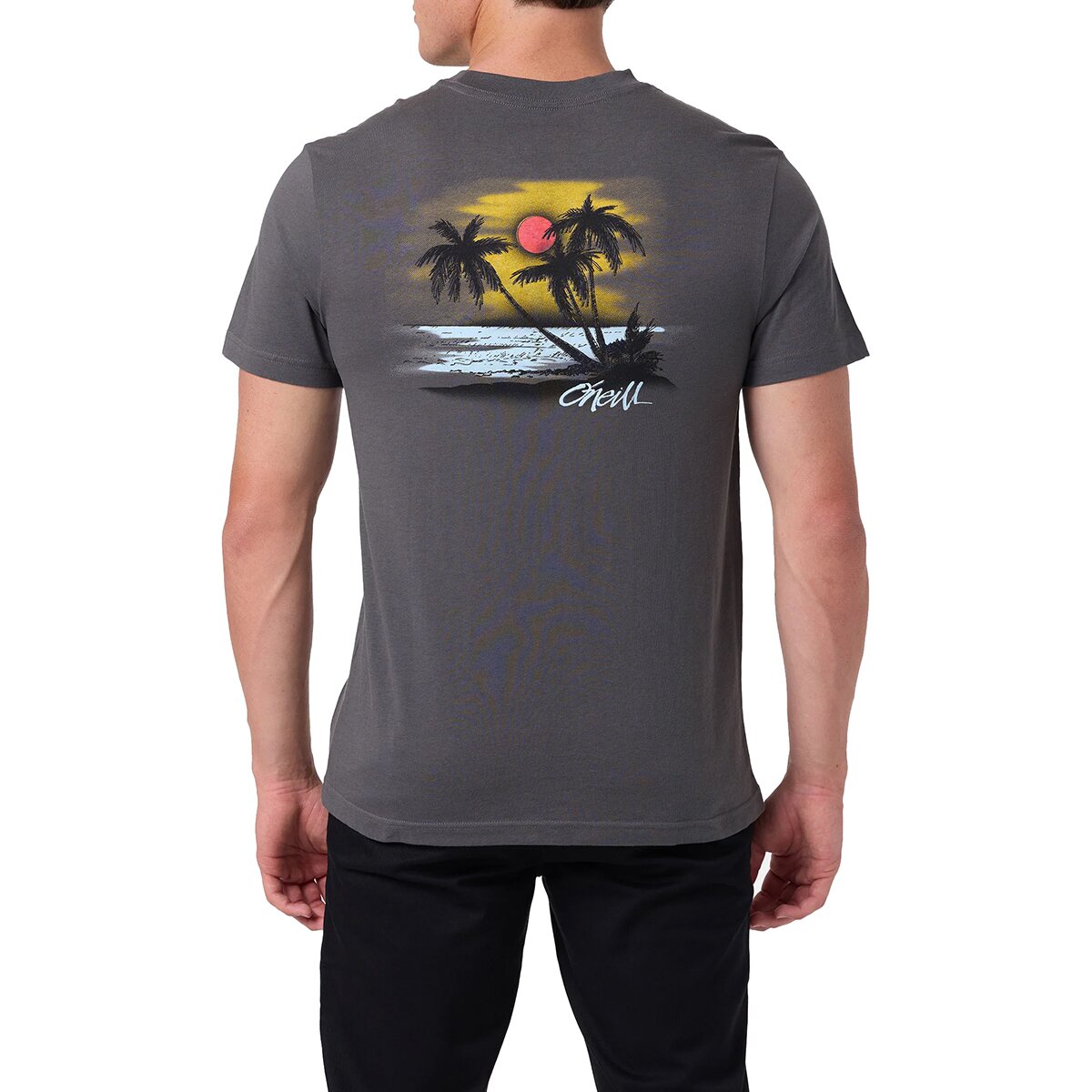 Image of O'Neill Tropics Classic Short-Sleeve T-Shirt - Men's Dark Shadow, S