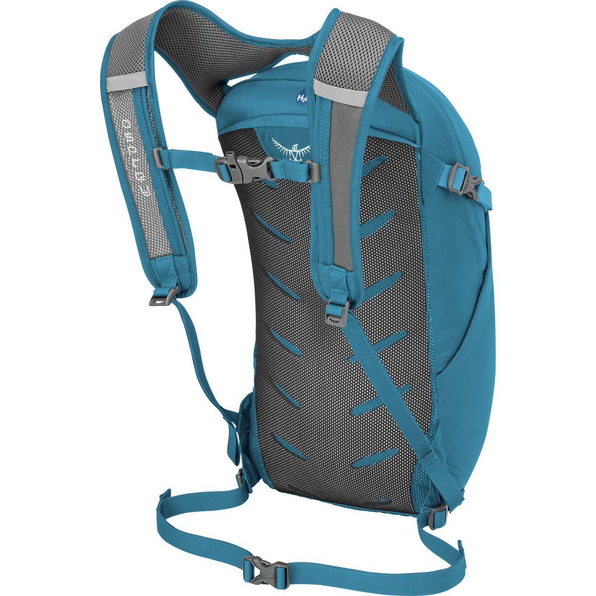 Osprey Packs Daylite 13L Backpack - Accessories
