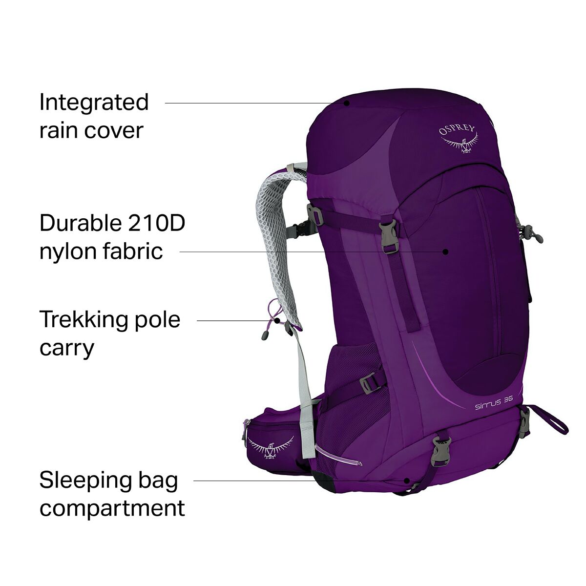 Osprey sirrus deals 36 purple