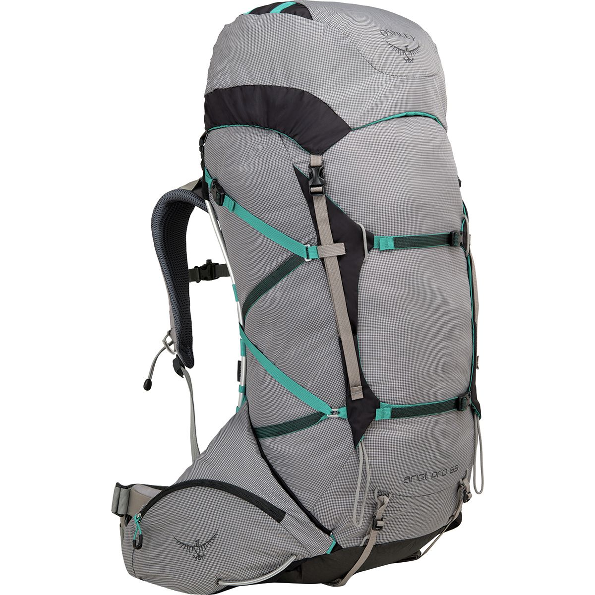 Osprey Packs Ariel Pro 65L Backpack - Women's