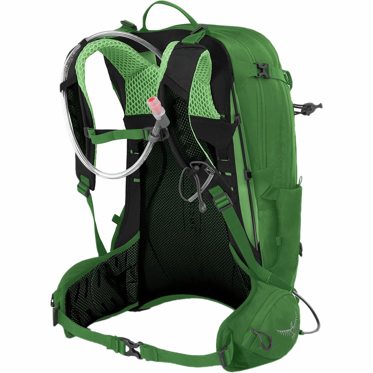 osprey 70l backpack women Ariel Plus Women's Backpacking Backpack, Black, WXS/S : Sports & Outdoors speedo-map-2026 moving travellers who want color:BLUE Champs Sports | Champs