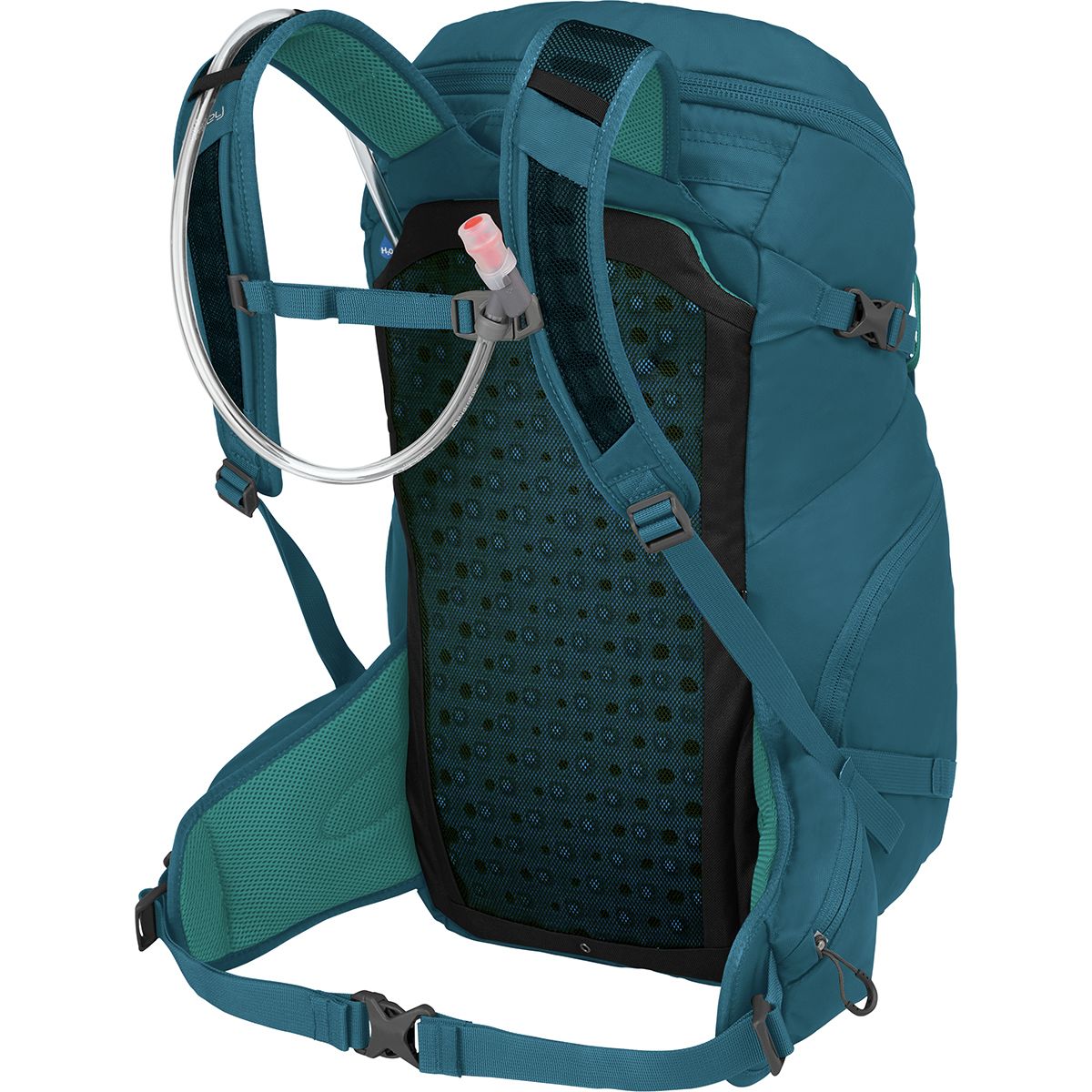 light gecko green patagonia lightweight black hole cinch Lightweight Black Hole Cinch Pack 20L  Patagonia Worn Wear