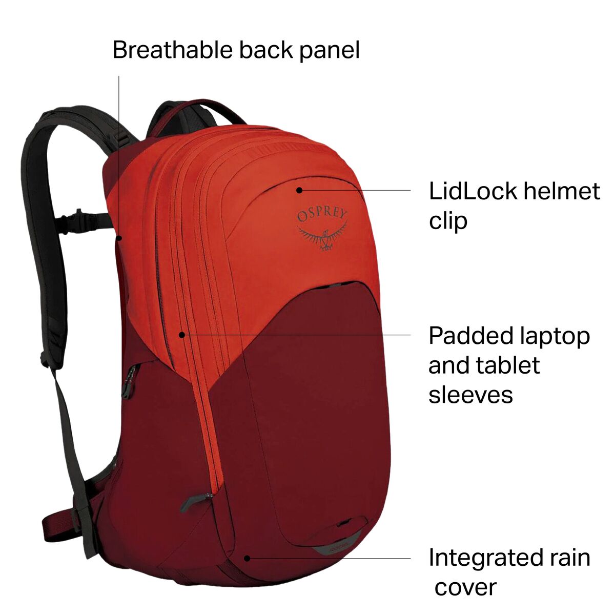 filter Sentimenteel Krankzinnigheid Osprey Packs Radial 34L Backpack - Accessories