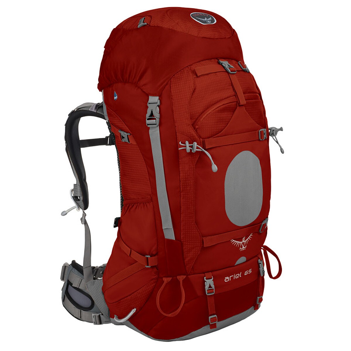 schraper riem Knipperen Osprey Packs Ariel 65 Backpack - Women's - 3600-4200cu in - Hike & Camp