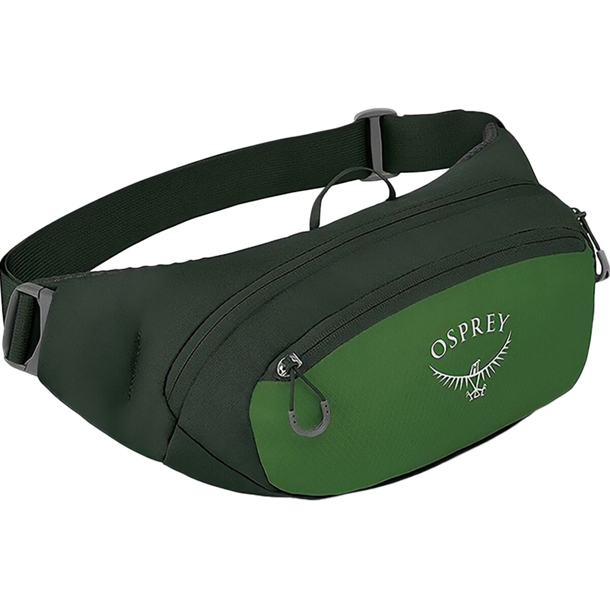 Image of Osprey Packs Daylite 2L Waist Pack Green Belt/Green Canopy, One Size
