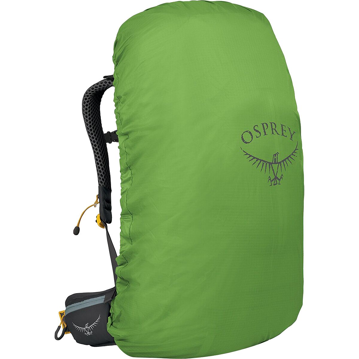 Osprey Women s Sirrus 36 Backpack Elderberry Purple Chiru Tan