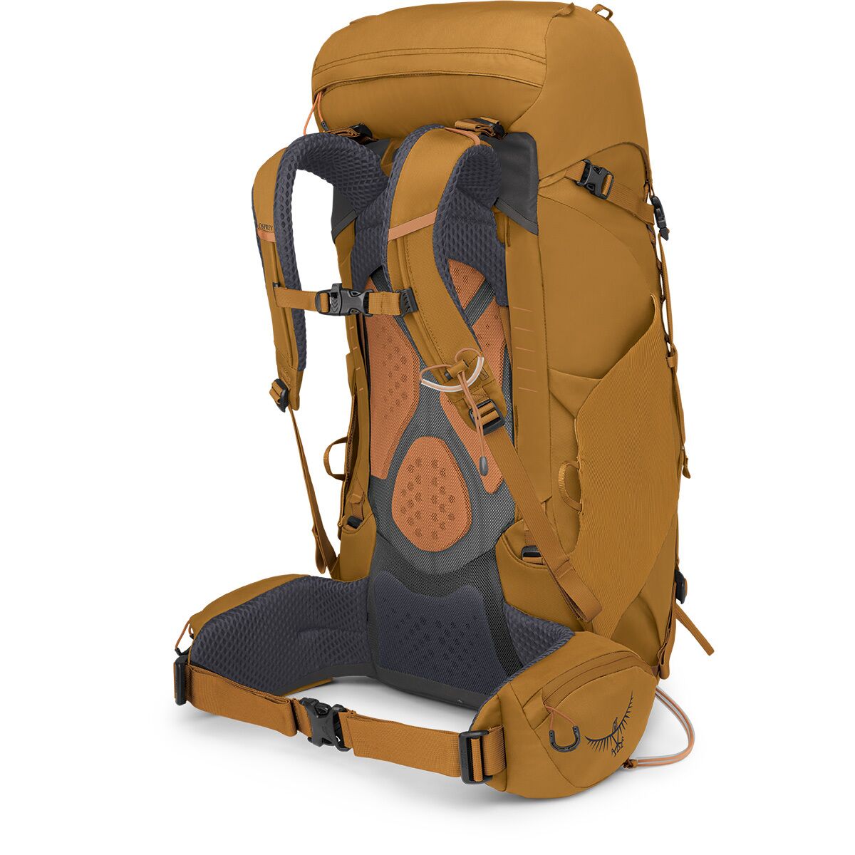 osprey backpack 38l Kestrel Men's Backpacking Backpack, Bonsai Green, L/XL : Clothing, Shoes & Jewelry A protection cover with DWR treatment is also provided and can be stored in a designated zippered pocket Osprey Kyte 38 Barley Brown