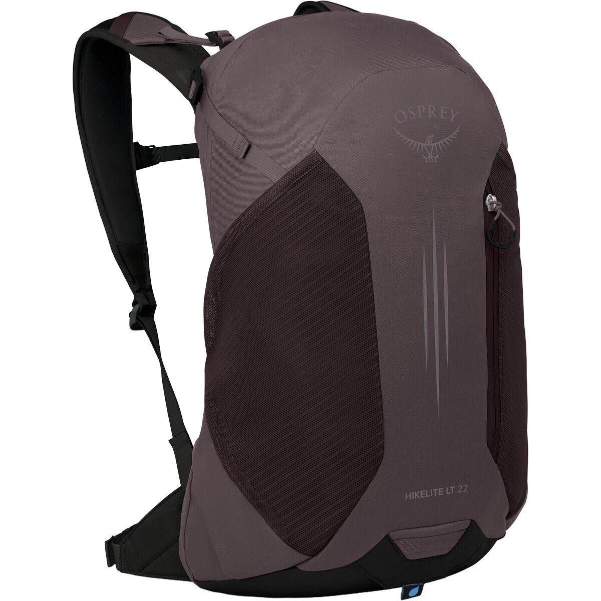 Image of Osprey Packs Hikelite LT 22L Backpack Graphite Purple, One Size