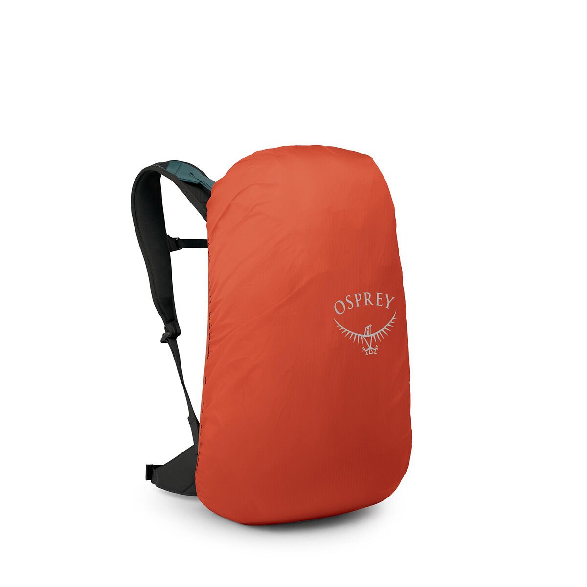black hole 25l backpack patagonia Black Hole Pack 25L