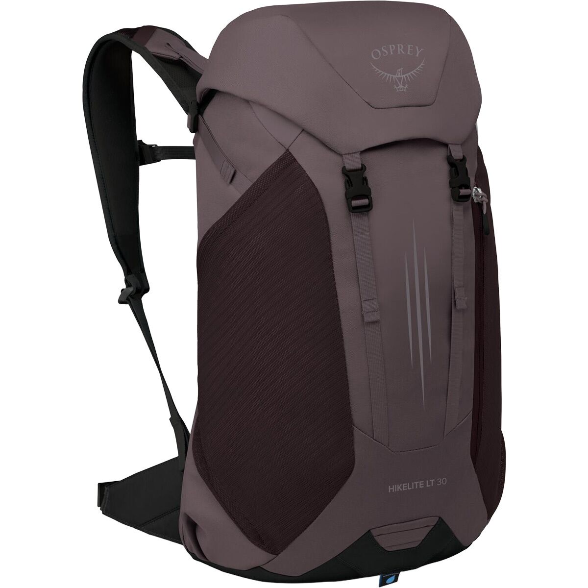 Image of Osprey Packs Hikelite LT 30L Backpack Graphite Purple, One Size