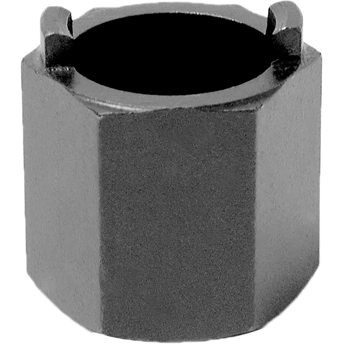 Park Tool Park Tool Freewheel Remover:  Sun Tour 2 Notch One Color, One Size