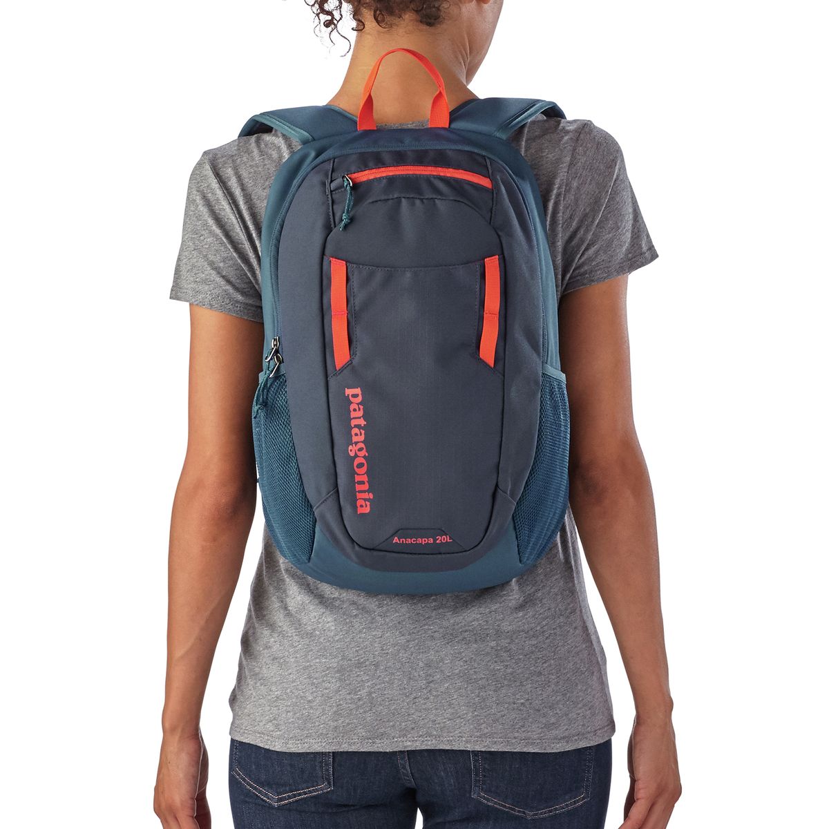 patagonia backpack ancapa Patagonia Anacapa 20L Backpack