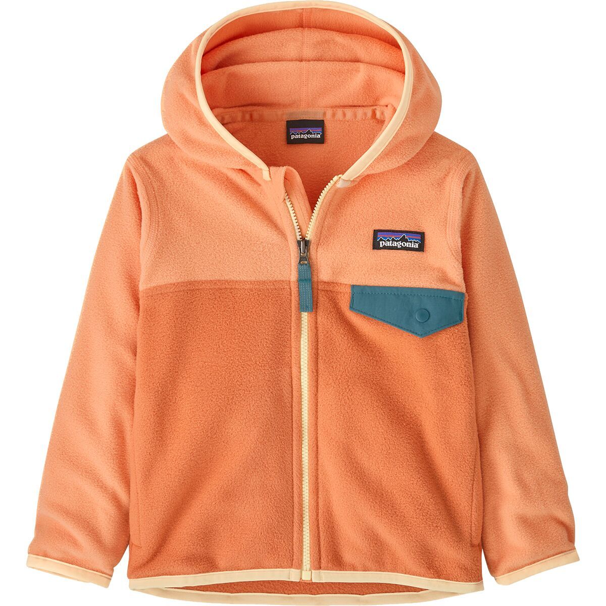 Patagonia Micro D Snap-T Fleece