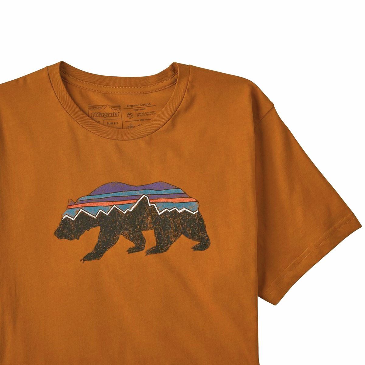 Patagonia t deals shirt bear