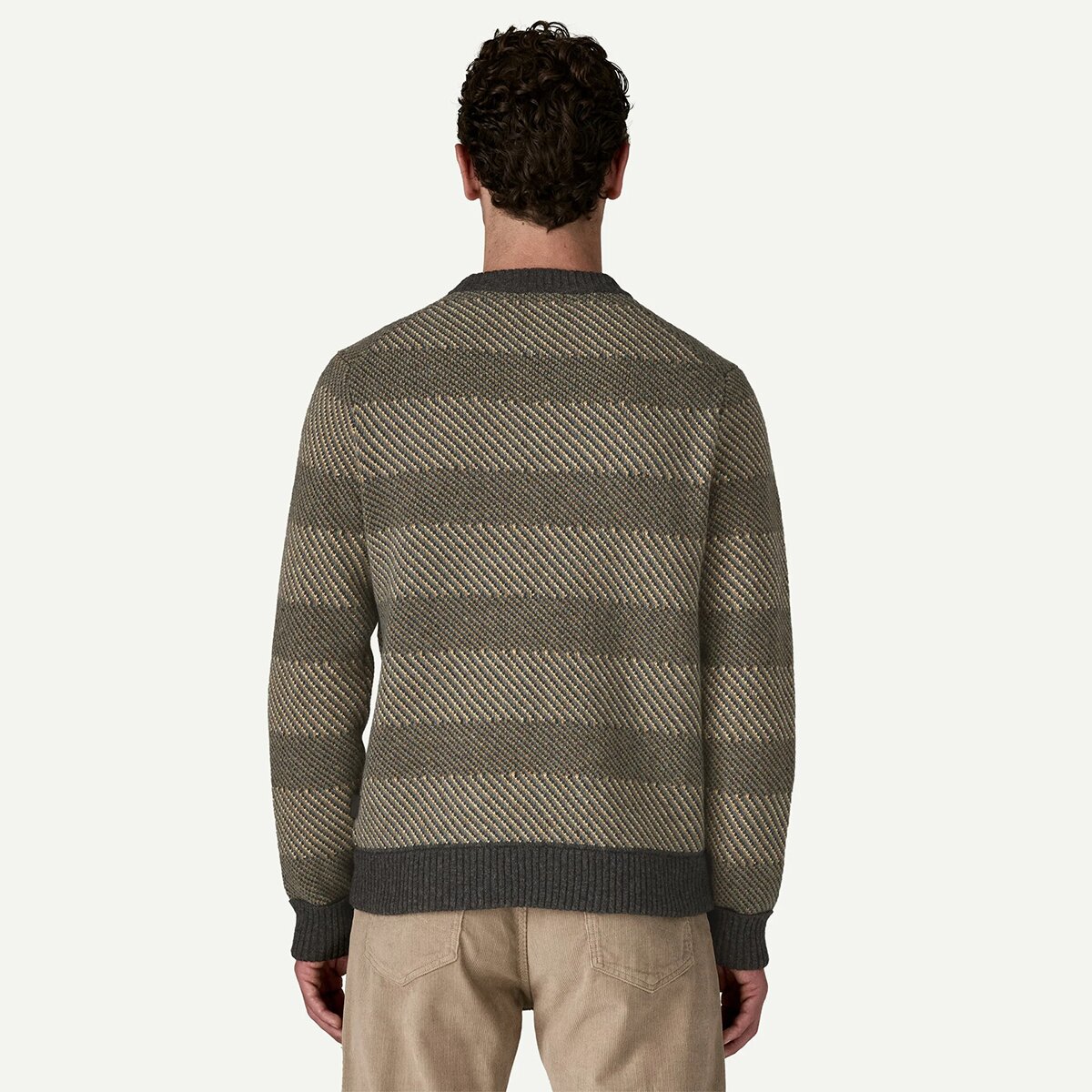 Patagonia Recycled Wool Sweater - Men