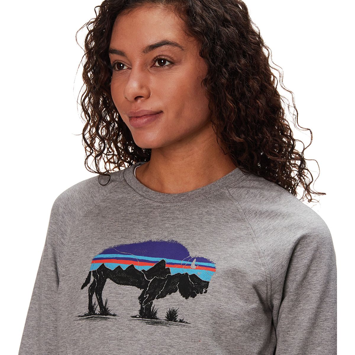 Patagonia women's geologers deals ahnya crew sweatshirt