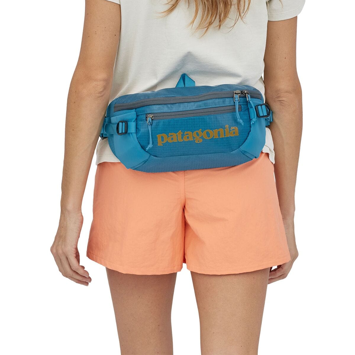 Patagonia black hole online waist pack 2l