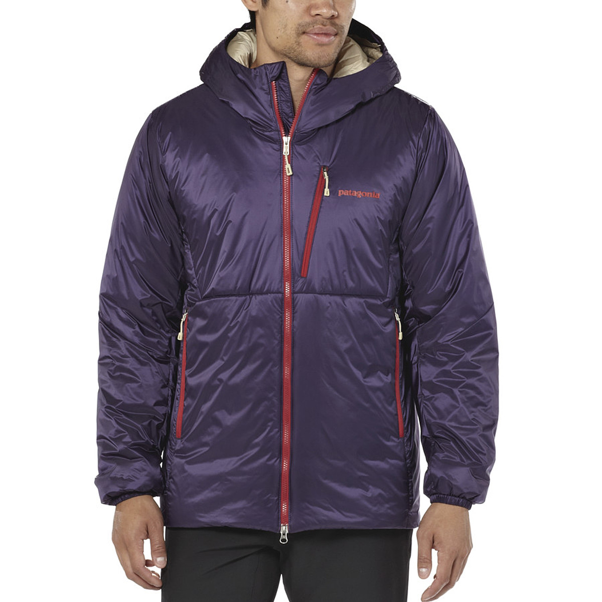 Patagonia DAS Insulated Parka - Men's - Clothing