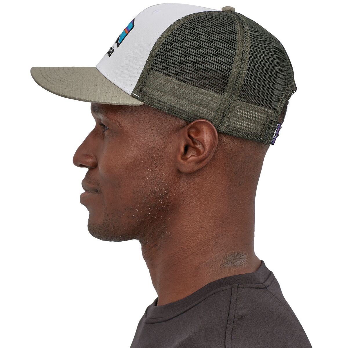 Patagonia Fitz Roy Horizons Trucker Hat - Accessories