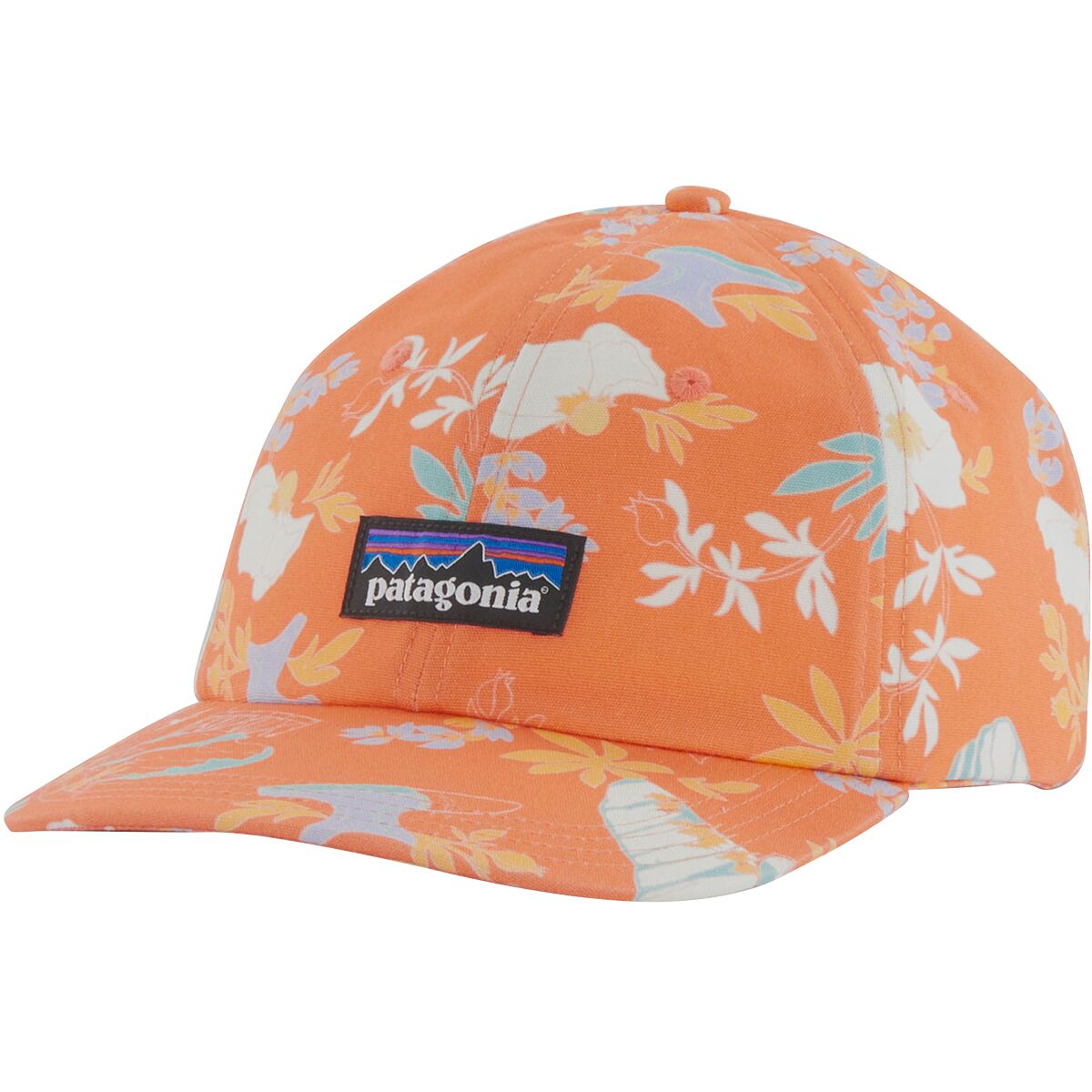 Patagonia P-6 Label Trad Cap