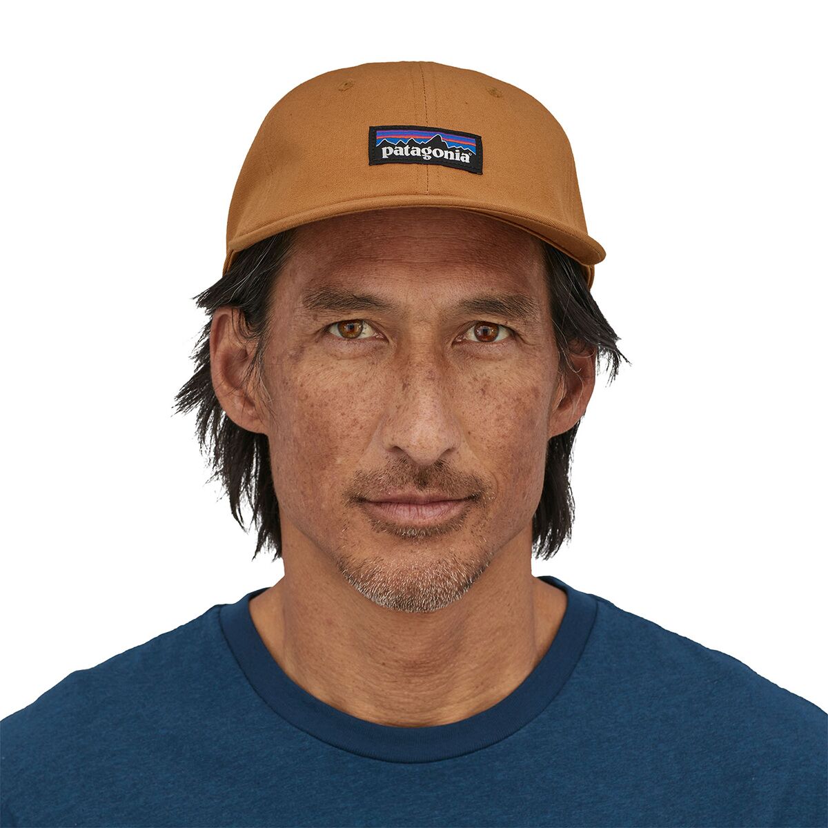patagonia cap brown