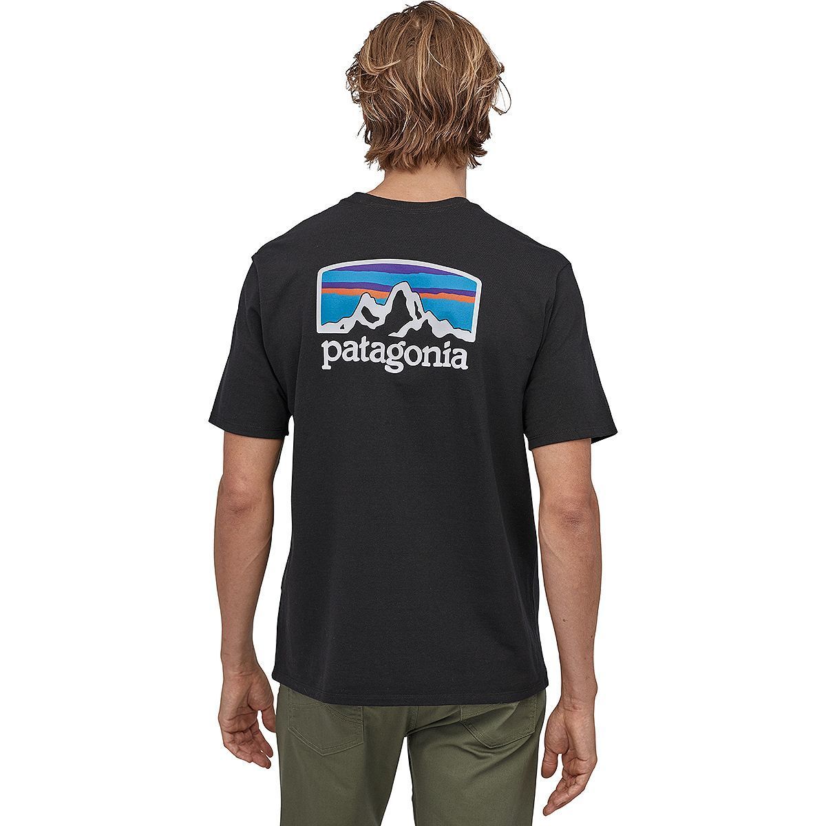 Patagonia Ms Fitz Roy Horizons Responsibili-Tee T-Shirt Homme